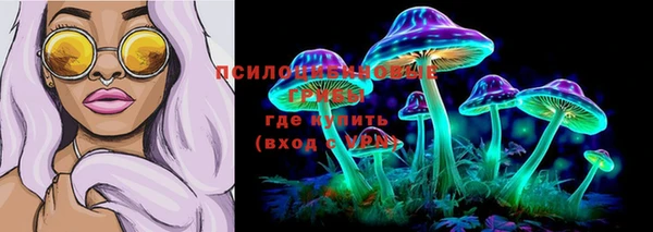спайс Аркадак