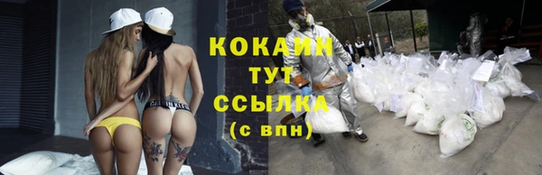 ешки Арсеньев
