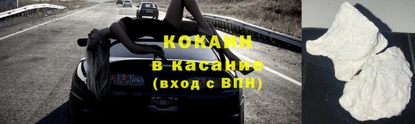 ешки Арсеньев