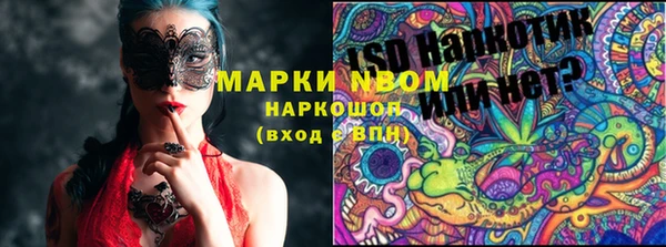 ешки Арсеньев