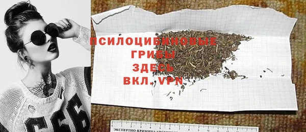 спайс Аркадак