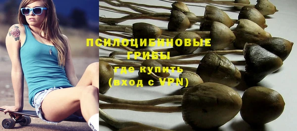 спайс Аркадак
