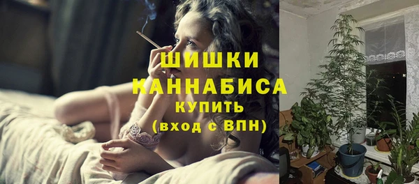 ешки Арсеньев