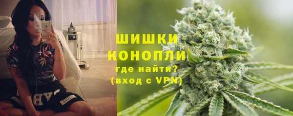 ешки Арсеньев
