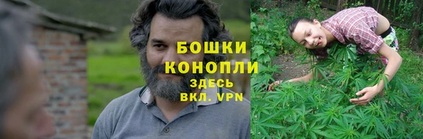 спайс Аркадак
