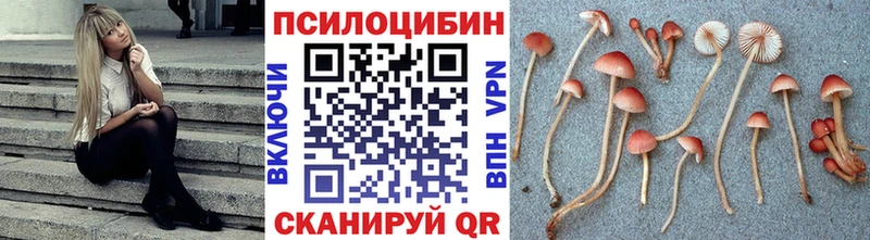 Галлюциногенные грибы Psilocybe  Купить где  Кулебаки 
